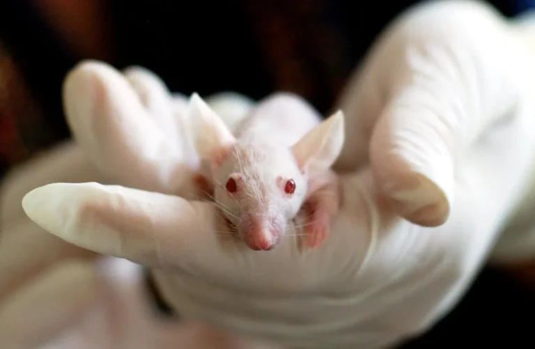 Infinity Bio Unveils Mouse Antibody Reactome Profiling Service