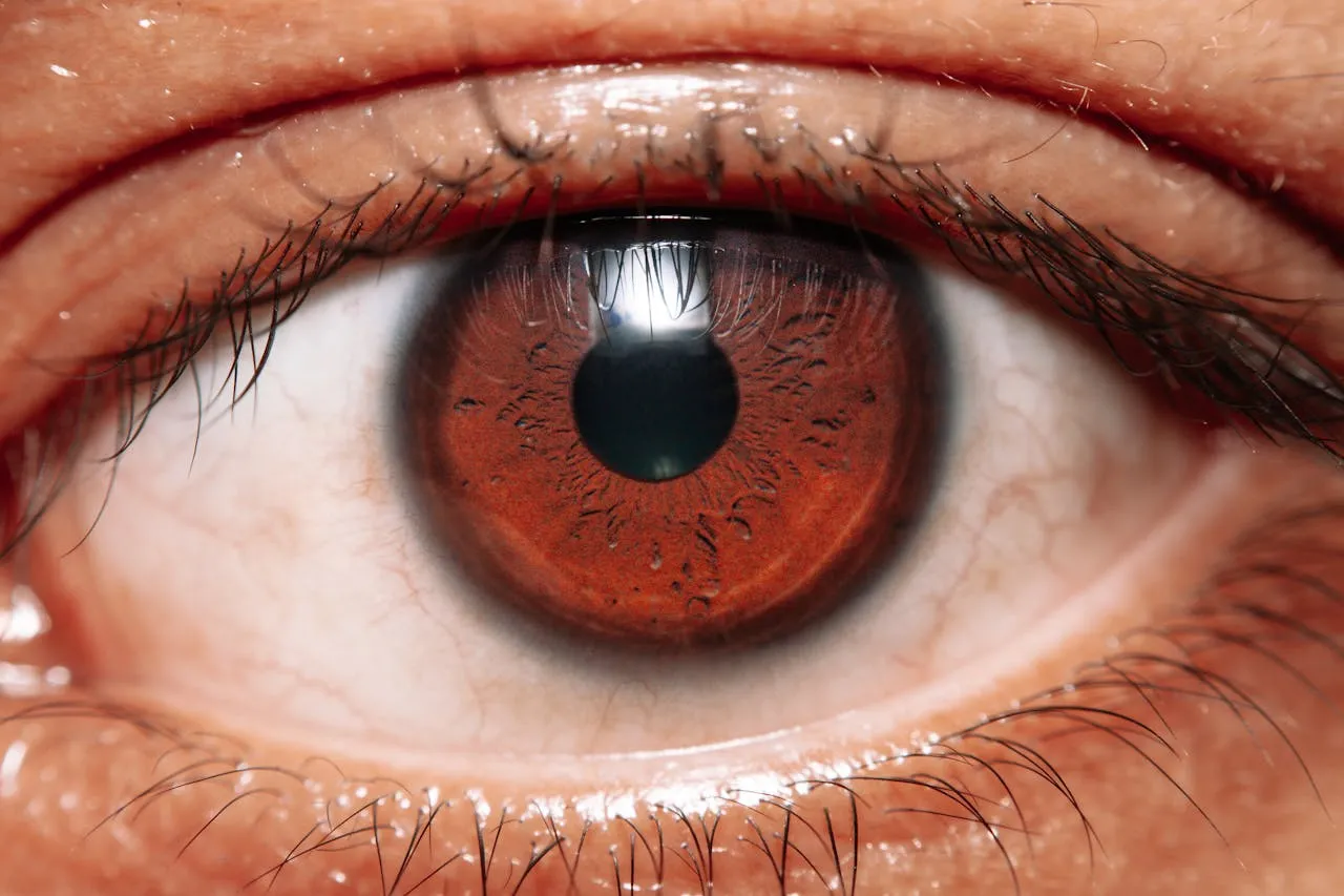 EU Approves Eylea™ 8 mg for 6-Month Dosing