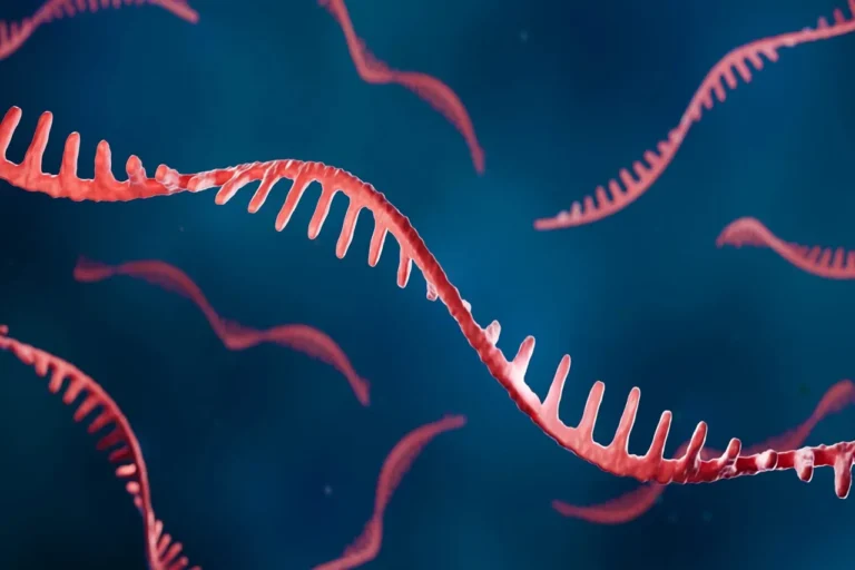 Elegen and Nutcracker Launch Cell-Free RNA