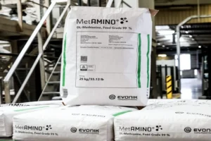 Evonik Unveils Eco-Friendly Paper Bags