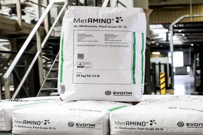 Evonik Unveils Eco-Friendly Paper Bags