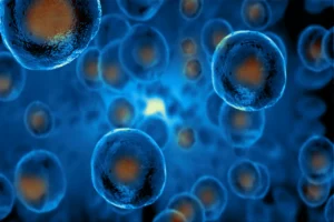 Bayer Advances Both Cell and Gene Therapy for Parkinson’s