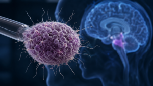 TFG-001, A Novel 3D Neural Microtissue Cell Therapy, Demonstrates Superior Functionality and Reinnervation for Parkinson’s Disease