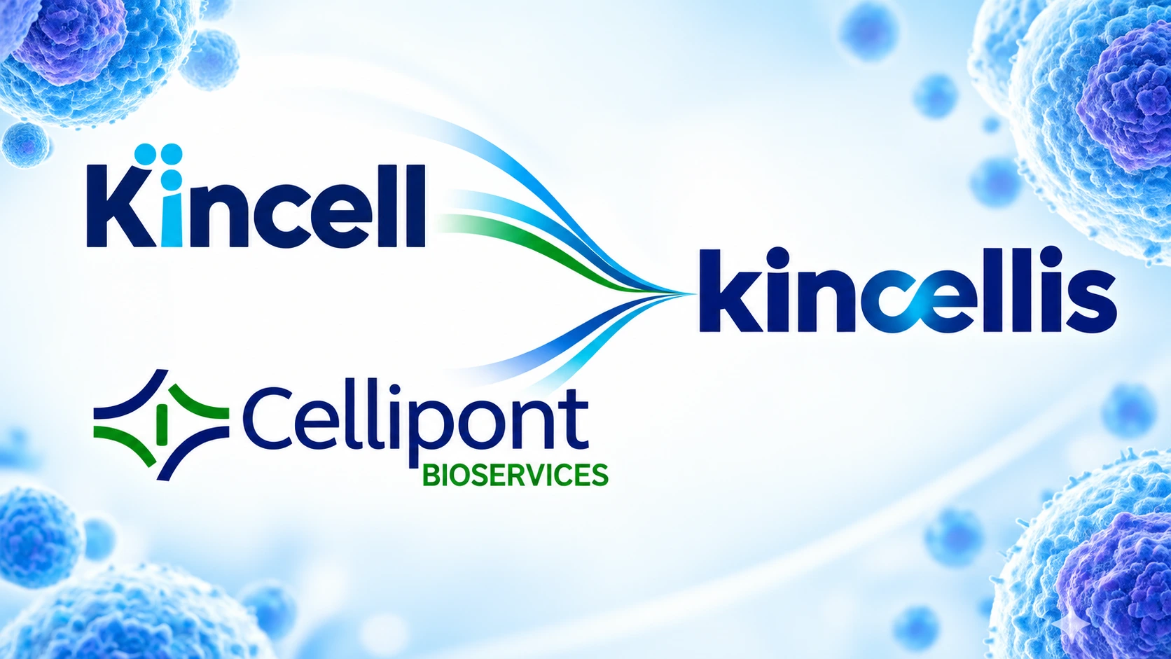 Kincell Bio